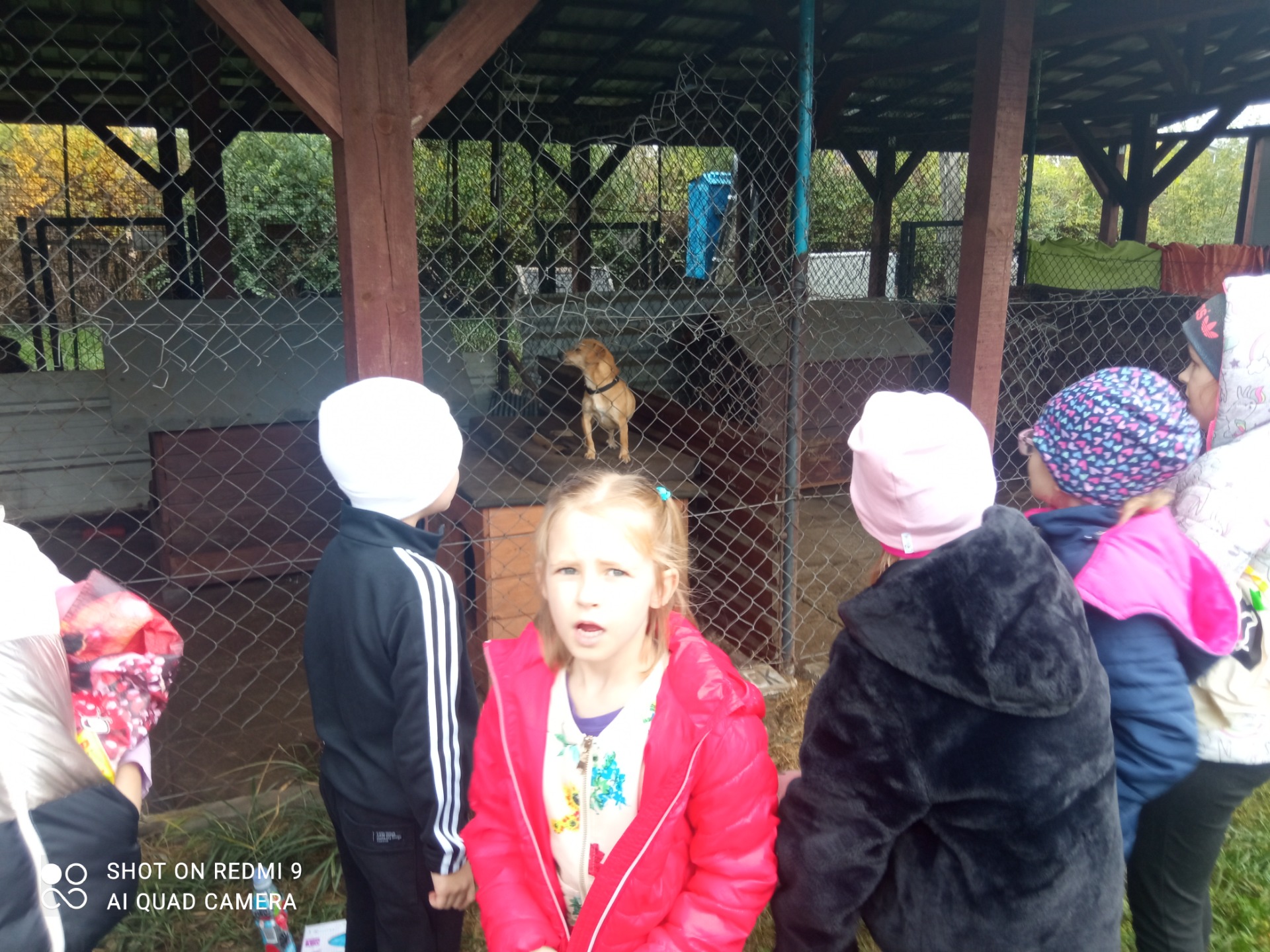 Wizyta uczestników świetlicy szkolnej  w jedwabieńskim Przytulisku dla bezdomnych zwierząt